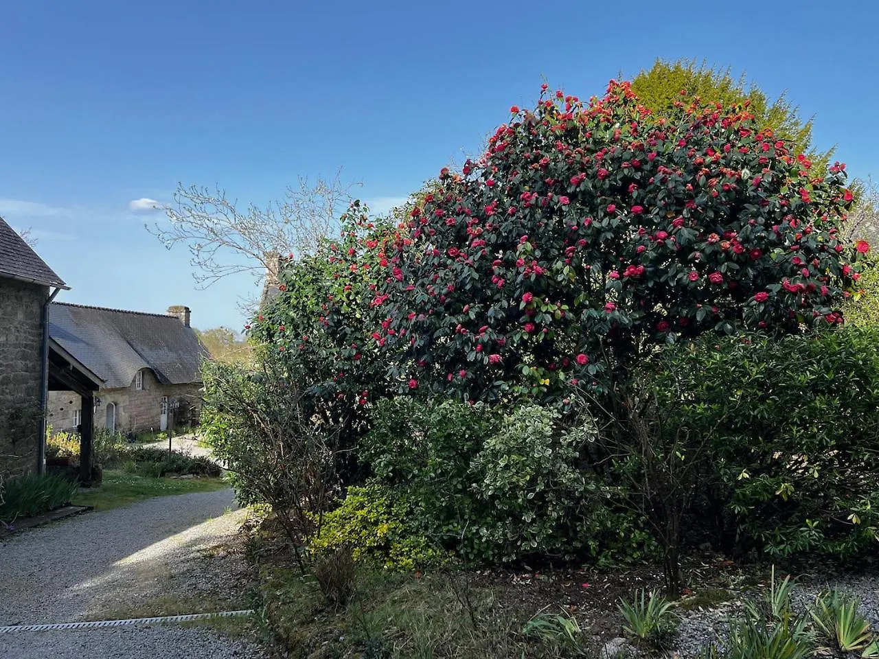 Holiday home Gites Du Gohic Quistinic